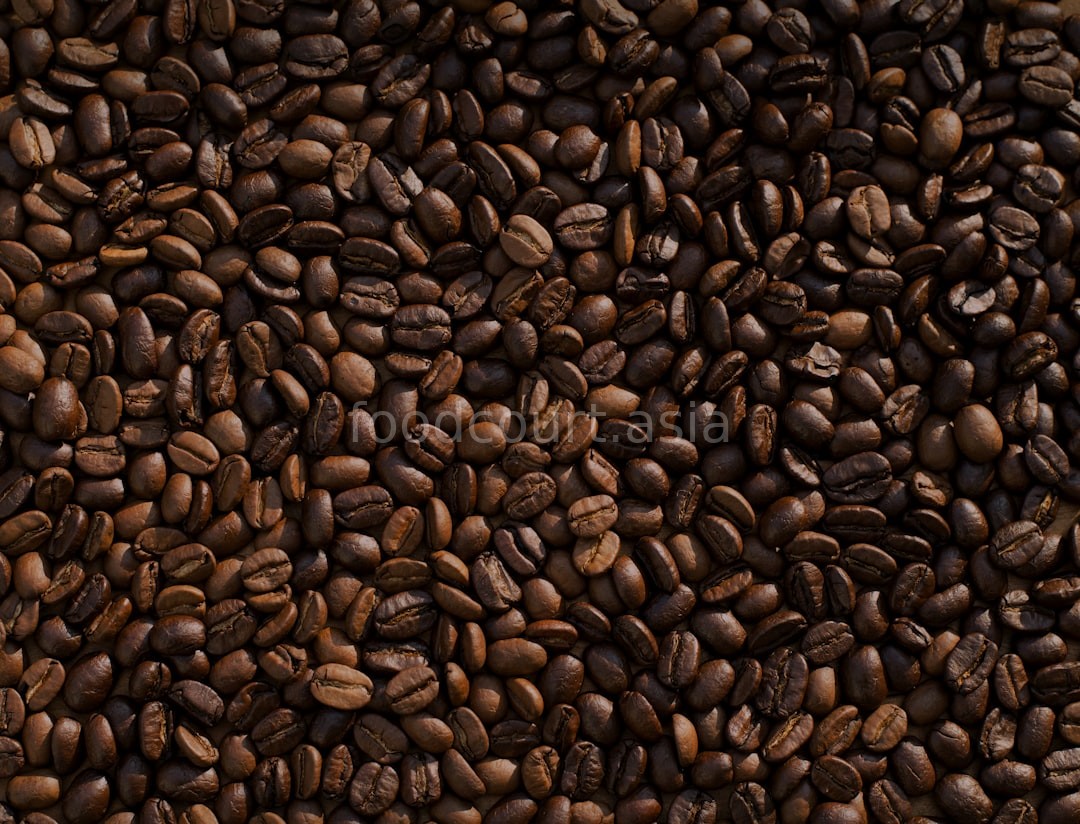 Cafe Atmosphere